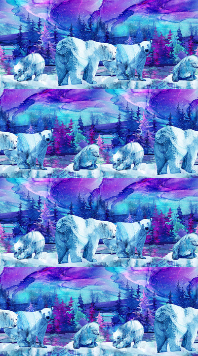 Polar Bear Border Stripe - Illuminations - DP27002-46